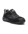 Dickies Dalton trainer (FD9200) Black